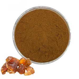 Extrait de Guggul 100% Pur, Meilleure Vente, 20% en Poudre, Extrait de Gomme Naturelle de Commiphora Wightii, Fournisseur en Gros d'Inde - Product Image 4