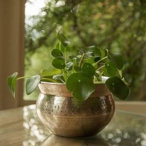 Vase à fleurs artisanal en laiton et fer pour la décoration intérieure et les mariages, design côtier, résistant à la rouille, en gros, provenant d'un fournisseur indien - Product Image 1