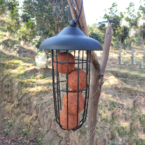 Comedero para Pájaros Silvestres ZY161, de Metal Resistente al Viento, para Colgar en Ventanas y Balcones - Product Image 5