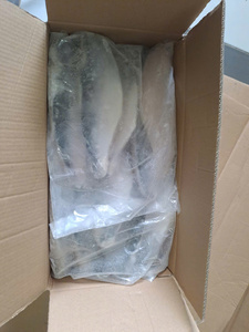 Pangasius Congelado IQF de Alta Calidad de Vietnam, Filete con Piel, Bajo en Sal, 10kg/Caja, Embalaje Personalizado y Tamaños a Medida - Product Image 1