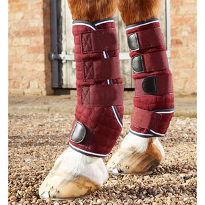Bottes de transport pour chevaux 2026 : Design haut de gamme, qualité supérieure, avec néoprène et bandages rafraîchissants - Product Image 1
