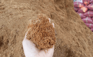 Fibres de noix de coco brutes, exportées, best-seller de l'agriculture, meilleur prix pour les grossistes - Product Image 3