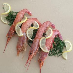 Mejor Precio para Camarones Rojos Congelados al Vacío de Alta Calidad de Francia, Paquete de 10 kg, 24 Meses de Duración, Proveedores de Mariscos - Product Image 5