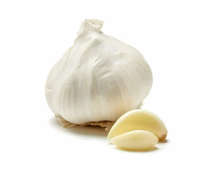 Poudre d'ail biologique – Sans additifs, qualité supérieure, assaisonnement naturel // Mr.Tom - Product Image 1