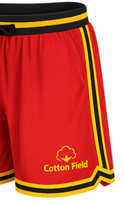 Pantalones de playa de verano de secado rápido para hombre al por mayor, bañadores de PANA con logotipo, pantalones cortos de playa de malla para nadar - Product Image 2