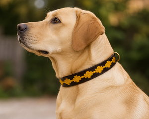 Premium Polo <b>Leather</b> <b>Dog</b> <b>Collar</b> Manufacturer <b>for</b> Pet Brands Wholesale from Divine International Uttar Pradesh India - Product Image 1