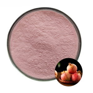 Polvo de Granada Más Vendido, 100% Puro, Rico en Polifenoles, para Smoothies, Jugos y Bebidas Saludables - Product Image 2