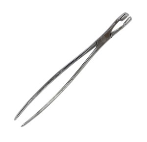 Forceps d'extraction dentaire pour chevaux durables, instruments de chirurgie orale équine TARIQ MFG CO - Product Image 6