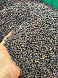 Premium Quality Dried Black Pepper Powder 100% Pure Natural Ground Vietnam IIGLOBAL BRAND 25kg Bulk Wholesale Food Seasoning - Product Image 6