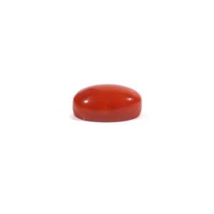Natural Japanese Red Coral Loose Gemstone Lot-3 Carat Rough Stone Certified Wholesale - Product Image 3