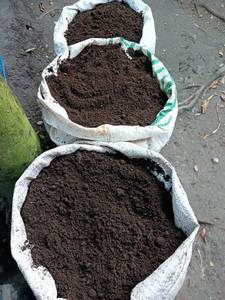 Engrais organique 100% naturel à base de vermicompost – Compost de vers de terre riche en nutriments pour les plantes - Product Image 3