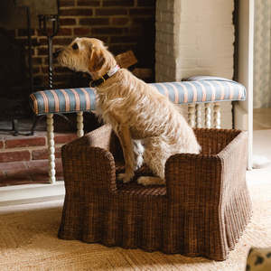 Lit pour animaux de compagnie en rotin brun, prix de gros, canapé-lit pour chien de luxe tissé à la main, panier, mobilier, fabricant durable, fournisseur direct - Product Image 5
