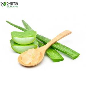 Alovera Gel Bulk Wholesale 100% Natural Pure Alovera Gel Organic Alovera Gel Private Label Manufacturer - Product Image 2
