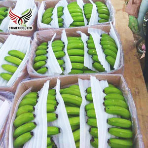 Venta al por mayor de Vietnam 3Timex Company 100% sabor natural dulce Cavendish plátano agricultura fresca 40 días vida útil 4H-5H-6H tamaños - Product Image 1