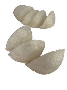 Nid d'oiseau comestible de haute qualité Original séché hirondelle Birdnest bon pour les enfants boîte emballage en gros - Product Image 5