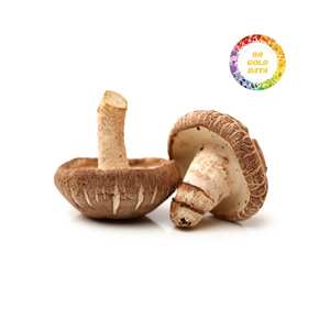 Hongos Shiitake Secos Baratos, Vegetales Secos de Nueva Cosecha, Hongos Shiitake a Granel - Product Image 4