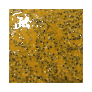 Purée de fruit de la passion surgelée en bâtonnets, 100% naturelle, origine Vietnam, approvisionnement en gros, prête à être expédiée - Product Image 5