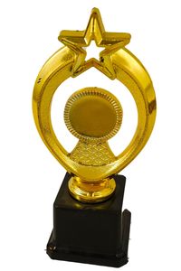 Trophée métallique personnalisé indien de qualité supérieure pour récompenses d'employés, réunions d'entreprise et événements professionnels – Trophée de performance au meilleur prix - Product Image 5