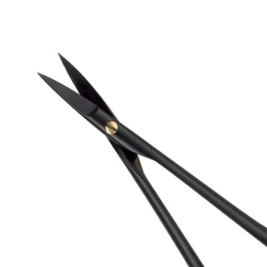 Ciseaux micro-courbés noirs Castroviejo 16,5 cm, ciseaux chirurgicaux dentaires, microchirurgie, acier inoxydable, ophtalmologie, chirurgie orale - Product Image 3