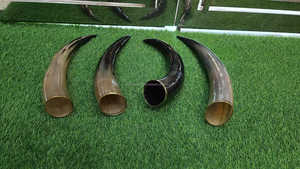 Viking authentique corne à boire faite à la main support en bois massif gravé à la main Style animal poli artisanat naturel utilisant l'artisanat - Product Image 5