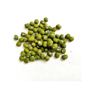 Mungo Kacang Hijau frais de ferme, de fabrication indienne, pour régime végétalien, aliments pour bébés et mouture de farine, disponible à l'exportation - Product Image 4