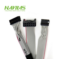 Câble ruban IDC personnalisé Dupont femelle 10 broches, pas de 2 mm, assemblage de faisceau de câbles 20 pièces, électronique OEM/ODM, conforme RoHS, 28AWG