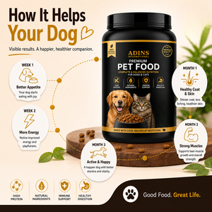 Alimento para Perros y Gatos con Receta de Pollo OEM ODM, Ingredientes Naturales Premium, Alimento Completo y Equilibrado para Mascotas, Marca Privada, Venta al por Mayor, Exportación - Product Image 5