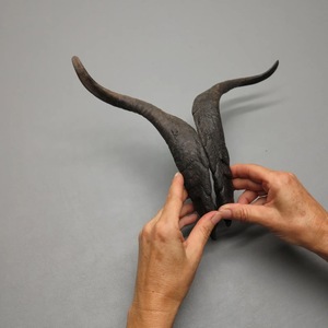 Pares de Cuernos de Cabra Naturales, Acabado Rústico Ecológico, Nueva Colección de Alta Calidad para Decoración y Manualidades - Product Image 1