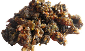 Guggal-Indian Bdellium-Commiphora Mukul-<b>Gugal</b> Pure - Product Image 2