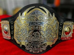 Ceinture de champion du monde poids lourd TNA en alliage de zinc plaqué or, design aigle, MMA, légère, unisexe, arts martiaux, 1 pièce - Product Image 4