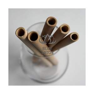 Pajitas de Bambú de Alta Calidad 2026 para Eventos Profesionales, 100% Madera Natural, Puras, Limpias, Seguras, Vajilla Sostenible de Primera Calidad - Product Image 6