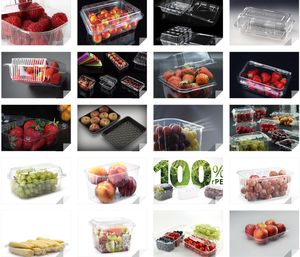 <b>Up</b> PET Thermoforming 0.2mm Thick Customized Size Blueberry Food Grade Transparent Plastic Fruit Container with Lid - Product Image 5