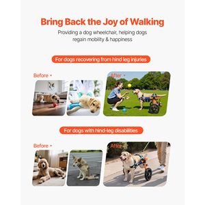 Lightweight 2-Wheel Manual <b>Dog</b> <b>Wheelchair</b> Adjustable Height Width and Length Cart with Shock Abs <b>for</b> Back Legs - Product Image 2