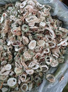 Melon amer séché bon marché fabriqué au Vietnam - Product Image 5