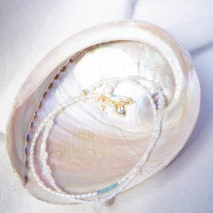 Nautical decor <b>abalone</b> <b>shell</b> cheapest cost natural seashells Vietnam supplier sale ocean sea <b>shells</b> - Product Image 2
