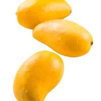 [Hete Zomer 2025] Verse Mango Van Hoge Kwaliteit-Natuurlijk Zoet En Vers 100% Tropisch Fruit Uit Vietnam Voor Zomerfruit