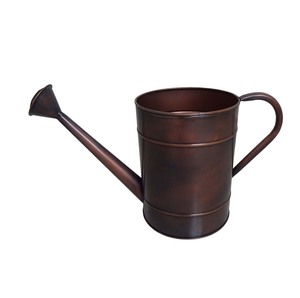Arrosoir élégant en métal avec long bec décoratif pour accessoires de jardin et de terrasse - Product Image 1