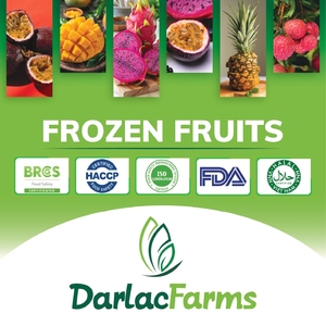 Mango Congelado en Rodajas de Vietnam al por Mayor de Darlac Farms, Empacado al Vacío a Granel, Marca Privada, Proveedor de Frutas OEM, HACCP/ISO - Product Image 2