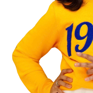 Sweat-shirt en chenille à manches longues pour femme, motif Golden Poodle 1922 Sigma Gamma Rho, mélange de coton, coupe décontractée et élégante - Product Image 4