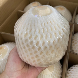 Coco de primera calidad con corte diamante y proveedor de Vietnam, perfecto para hoteles y restaurantes - Product Image 1