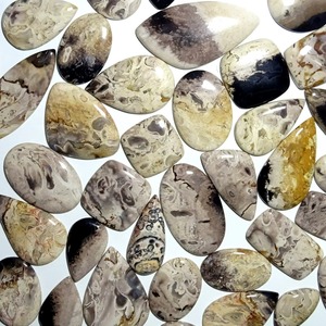 Wholesale Supply Natural Fossilized Palm Root Gemstone Beautiful Organic Pattern Stone for Jewelry Making At Best Market Price - Product Image 3