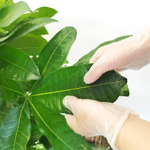 Gants jetables de qualité alimentaire pour la maison, imperméables, en latex sans poudre, en vinyle, en nitrile, boîte de 100 - Product Image 3