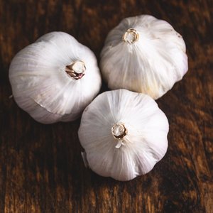 Approvisionnement en produits frais de première qualité : Ail blanc frais avec bulbes naturels, tri soigné, emballage export pour les acheteurs en gros de produits alimentaires - Product Image 4