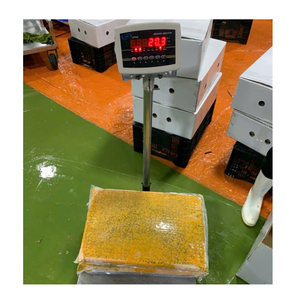 Purée de fruit de la passion surgelée en bloc, emballée sous vide, 100% naturelle, stockage IQF -18°C ° Durée de conservation inférieure à 12 mois - Product Image 2