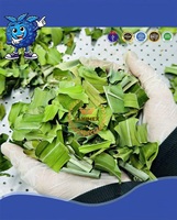 Essence de parfum naturel dans chaque feuille-100% poudre de pandan de feuilles de pandan séchées biologiques de Takimex