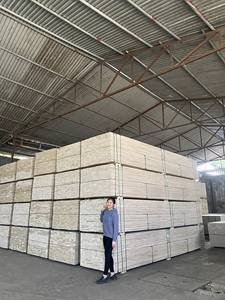 Palets de Madera, Materia Prima, Madera Contrachapada Laminada, Tipo de Embalaje, Pino LVL - Product Image 6