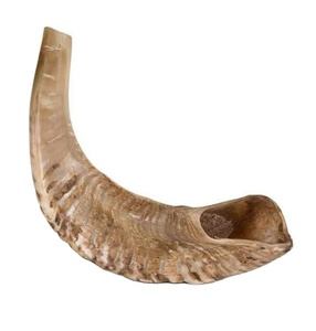 Venta al por mayor kosher Ram Horn Shofar hecho a mano Natural Shofar con estilo religioso técnica pulida en descuento - Product Image 1