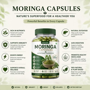 Cápsulas de Moringa Pura Natural OEM/ODM 500mg, Suplemento de Polvo de Hoja de Moringa Premium para Energía y Apoyo Inmunológico - Product Image 3
