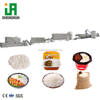 Usine de production de riz nutritionnel clé en main 100-800 kg/h Machine d'extrusion de riz instantané Équipement de fabrication de riz enrichi Ligne de production