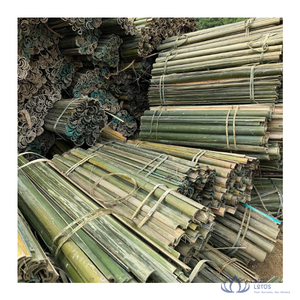 [ขายดี] ไม้ไผ่บัวสีน้ำเงิน วัตถุดิบแท้ทั้งเส้น ยาว 50 ซม. เส้นผ่านศูนย์กลาง 5-6 มม. เป็นมิตรกับสิ่งแวดล้อม ปลอดสารพิษ เหมาะสำหรับงาน DIY ตกแต่งรั้ว - Product Image 1